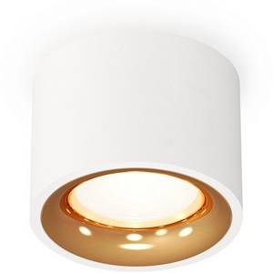 Изображение товара Накладной светильник светодиодный Ambrella Techno Spot XS7510024