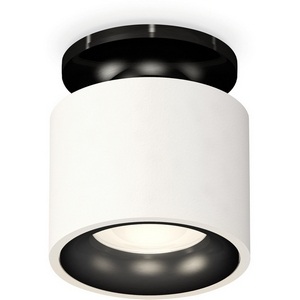 Изображение товара Накладной светильник светодиодный Ambrella Techno Spot XS7510061
