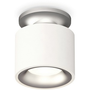 Изображение товара Накладной светильник светодиодный Ambrella Techno Spot XS7510101