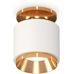 Изображение товара Накладной светильник светодиодный Ambrella Techno Spot XS7510120