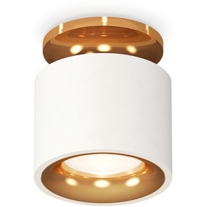 Изображение товара Накладной светильник светодиодный Ambrella Techno Spot XS7510121