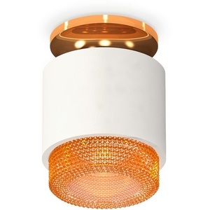 Изображение товара Накладной светильник ip20 светодиодный Ambrella Techno Spot XS7510122