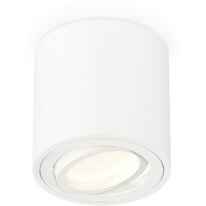Изображение товара Накладной светильник светодиодный Ambrella Techno Spot XS7531001