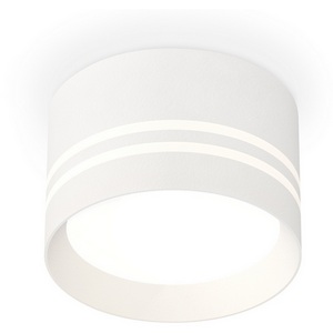 Изображение товара Накладной светильник светодиодный Ambrella Techno Spot XS8101021