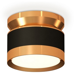 Изображение товара Накладной светильник светодиодный Ambrella Techno Spot XS8102060