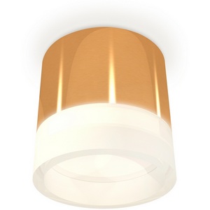 Изображение товара Накладной светильник светодиодный Ambrella Techno Spot XS8121010