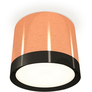 Изображение товара Накладной светильник светодиодный Ambrella Techno Spot XS8122001