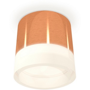 Изображение товара Накладной светильник светодиодный Ambrella Techno Spot XS8122010