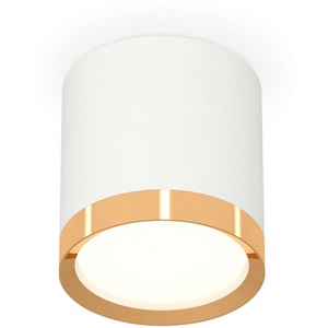 Изображение товара Накладной светильник светодиодный Ambrella Techno Spot XS8141004