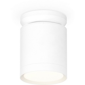 Изображение товара Накладной светильник светодиодный Ambrella Techno Spot XS8141015