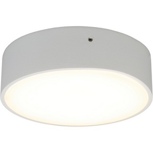 Изображение товара Потолочный светильник круглый светодиодный Aployt Evon APL.0113.09.12