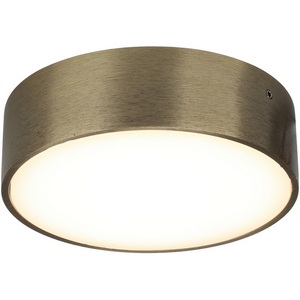 Изображение товара Потолочный светильник круглый светодиодный Aployt Evon APL.0113.29.12