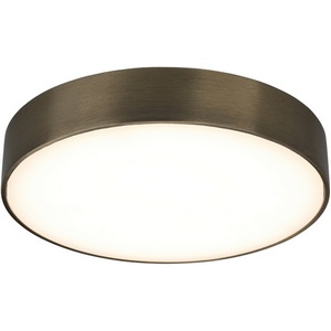 Изображение товара Потолочный светильник круглый светодиодный Aployt Evon APL.0114.29.24