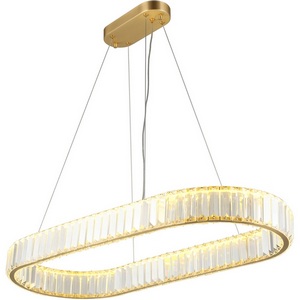 Изображение товара Подвесной светильник светодиодный Aployt Nicoletta APL.026.03.70 кольцо