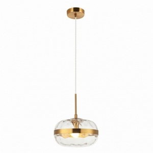 Изображение товара Подвесной светильник Aployt Gabriela APL.305.06.01 в форме шара