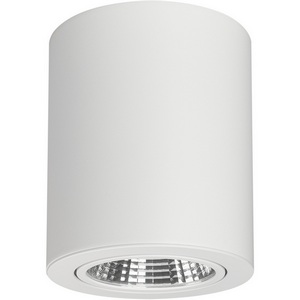 Изображение товара Накладной светильник LED SP-FOCUS-R120-16W Warm White (Arlight, IP20 Металл, 3 года) 021065