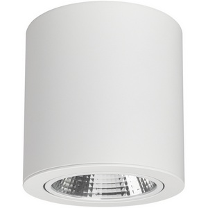 Изображение товара Накладной светильник светодиодный круглый 2700 к SP-FOCUS-R140-30W Day White (Arlight, IP20 Металл, 3 года) 021428