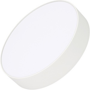 Изображение товара Потолочный светильник LED круглый SP-RONDO-R250-30W Day4000 (WH, 120 deg, 230V) (Arlight, IP40 Металл) 022232(2)