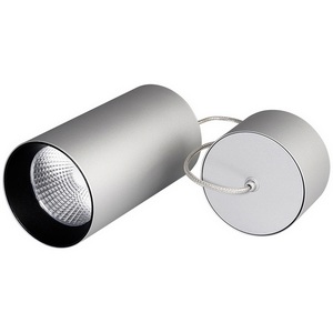Изображение товара Подвесной светильник LED подвесной SP-POLO-R85-2-15W Day White 40deg (Silver, Black Ring) (Arlight, IP20 Металл) 022966