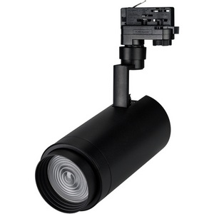 Изображение товара Трековый светильник трехфазный светодиодный 220V LGD-ZEUS-4TR-R100-30W Day (BK, 20-60 deg) (Arlight, IP20 Металл) 024633