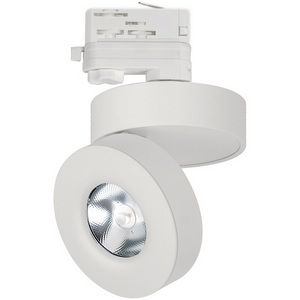 Изображение товара Трековый светильник трехфазный светодиодный 220V LGD-MONA-TRACK-4TR-R100-12W Day4000 (WH, 24 deg) (Arlight, IP40 Металл) 025447(2)