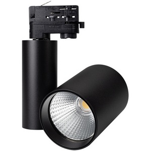 Изображение товара Трековый светильник трехфазный светодиодный 220V LGD-SHOP-4TR-R100-40W Cool SP7500-Fish (BK, 24 deg) (Arlight, IP20 Металл) 026291