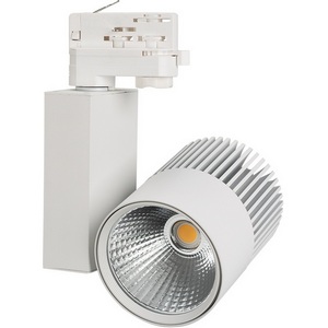 Изображение товара Трековый светильник трехфазный светодиодный 220V LGD-ARES-4TR-R100-40W Day4000 (WH, 24 deg) (Arlight, IP20 Металл) 026377