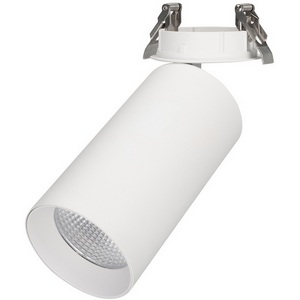 Изображение товара LED спот встраиваемый SP-POLO-BUILT-R95-25W Day4000 (WH-WH, 40 deg) (Arlight, IP20 Металл, 3 года) 027340