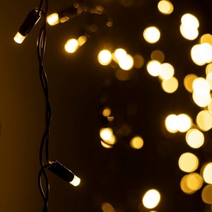 Изображение товара Светодиодная гирлянда ARD-EDGE-CLASSIC-2400x600-BLACK-88LED-FLASH Warm/Warm (230V, 6W) (Ardecoled, IP65) 031192