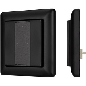 Изображение товара INTELLIGENT Панель DALI-223-2K-D2-IN-BLACK (BUS, Free purpose) (IARL, -) 032504