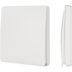 Изображение товара INTELLIGENT Панель TUYA-228-1-RF-SUF (kinetic, 433MHz) (IARL, IP67 Пластик, 3 года) 033667