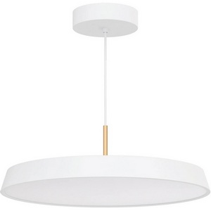 Изображение товара Светильник SP-ELEGANT-R500-37W Day4000 (WH, 120 deg, 230V) (Arlight, IP20 Металл) 033924(1)