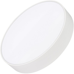 Изображение товара Потолочный светильник LED круглый SP-RONDO-R350-30W Day4000 (WH, 120 deg, 230V) (Arlight, IP40 Металл) 034808