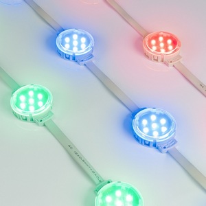 Изображение товара Модуль управляемый SPI-F7-D50 24V RGB-RAM-Auto (1.25W, IP68, 120 deg) (Arlight, Пластик, 3 года) 036826