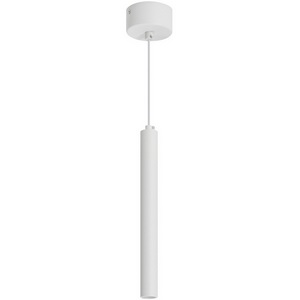 Изображение товара Подвесной светильник LED SP-PIPE-HANG-L300-R30-9W Day4000 (WH, 24 deg, 230V) (Arlight, IP20 Металл) 038612
