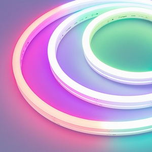 Изображение товара Светодиодная лента герметичная DMX МУНLIGHT-SIDE-B84-12x17mm 24V RGB-PX7 (18 W/m, IP67, 5m, wire x2) (Arlight, Силикон) 041013