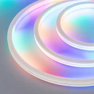 Изображение товара Светодиодная лента герметичная SPI МУНLIGHT-TOP-B84-13x12mm 24V RGB-PX7 (18 W/m, IP67, 5m, wire x2) (Arlight, Силикон) 041016