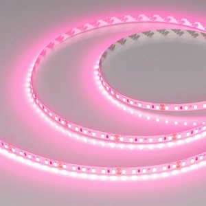 Изображение товара Светодиодная лента RT-A120-8mm 24V Pink (9.6 W/m, IP20, 2835, 5m) Arlight 043380
