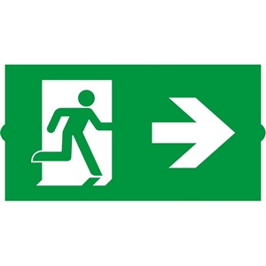 Изображение товара Пиктограмма EMGP-DIRECT-RIGHT (Вправо) (Arlight, Пластик) 046667