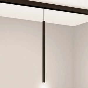 Изображение товара Трековый светильник магнитный MAG-ORIENT-SPOT-HANG-L500-R20-3W Warm3000 (BK, 20 deg, 48V) (Arlight, IP20 Металл) 046897