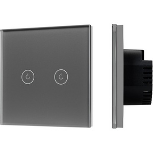 Изображение товара Выключатель встраиваемый сенсорный двухклавишный с подсветкой SWT-OMALI-S02-ZB-GR (250V, 10A, Zigbee) (Arlight, Стекло, Умный дом, Алиса) 050039