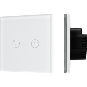 Изображение товара Выключатель встраиваемый сенсорный двухклавишный с подсветкой SWT-OMALI-S02-ZB-WH (250V, 10A, Zigbee) (Arlight, Стекло, Умный дом, Алиса) 050041