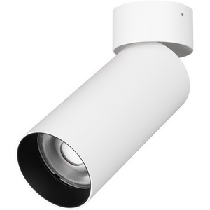 Изображение товара Накладной точечный светильник светодиодный SP-GABI-SURFACE-FLAP-R60-12W Warm3000 (WH, 60 deg, 230V) (Arlight, IP40 Металл, 5 лет) 052348