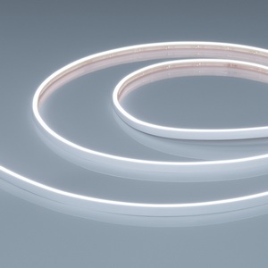 Изображение товара Светодиодная лента герметичная VELA-M240-2.5x6mm 24V White6000 (5 W/m, IP65, 5m) (Arlight, узкая) 053266