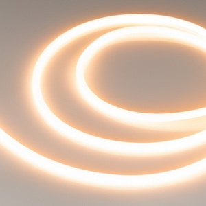 Изображение товара Светодиодная лента влагозащищенная герметичная LUNA-X960-D8mm 24V Warm2400 (8 W/m, IP65, 360deg, 5m) Arlight 053356