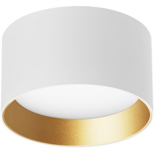 Изображение товара Потолочный светильник накладной 2700 к светодиодный SP-BISCOTTO-R120-12W Warm3300-MIX (WH-GD, 80 deg, 230V) (Arlight, IP54 Металл) 054914