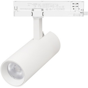 Изображение товара Трековый однофазный светильник LED LGD-GERA-2TR-R55-10W Day4000 (WH, 55 deg, 230V) (Arlight, IP20 Металл) 055040