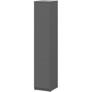 Изображение товара Пенал Арника Денвер, Графит