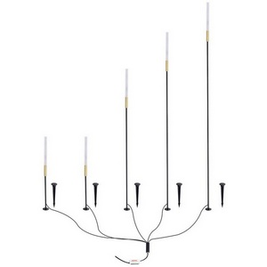 Изображение товара Грунтовый светильник светодиодный IP65 Arte Lamp Muster A1083PA-5BK