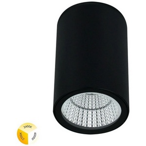 Изображение товара Уличный потолочный светильник Arte Lamp Torcular A1307PF-1BK